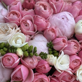 imgonline-com-ua-Resize-2BTLSNnuF1Y