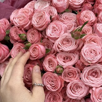 imgonline-com-ua-Resize-4alWrRulvw3