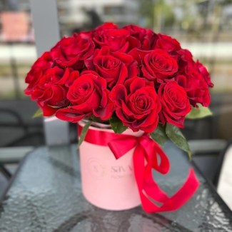 imgonline-com-ua-Resize-CjDTE7CYPfVU