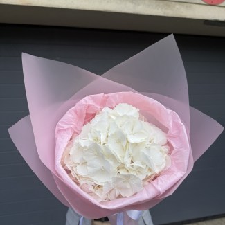 imgonline-com-ua-Resize-D4NVH7iefEmj