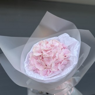 imgonline-com-ua-Resize-H2gAZgPWmiIn6aJ