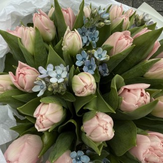 imgonline-com-ua-Resize-Q9zbRLuDdmyuwvy