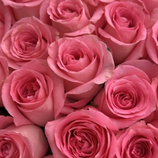 imgonline-com-ua-Resize-X6MgBBzt3rvMsKY