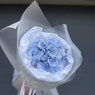 imgonline-com-ua-Resize-ZNM6BTJK7q5H